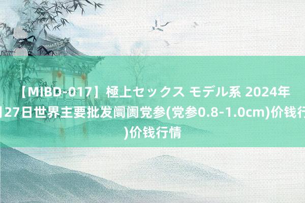 【MIBD-017】極上セックス モデル系 2024年7月27日世界主要批发阛阓党参(党参0.8-1.0cm)价钱行情