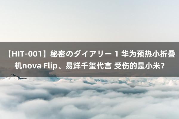 【HIT-001】秘密のダイアリー 1 华为预热小折叠机nova Flip、易烊千玺代言 受伤的是小米？