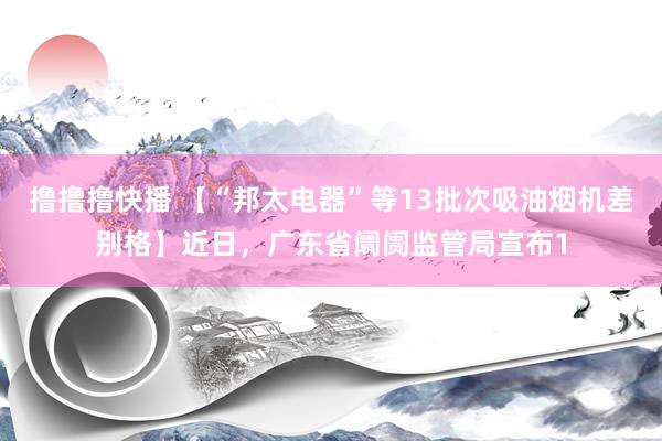 撸撸撸快播 【“邦太电器”等13批次吸油烟机差别格】近日，广东省阛阓监管局宣布1