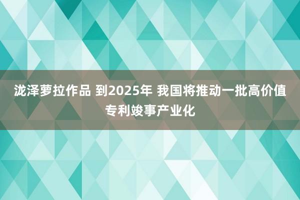 泷泽萝拉作品 到2025年 我国将推动一批高价值专利竣事产业化