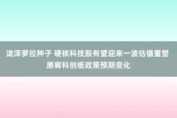 泷泽萝拉种子 硬核科技股有望迎来一波估值重塑 原宥科创板政策预期变化