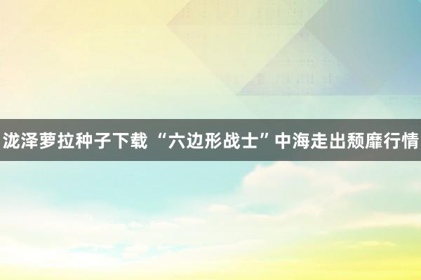 泷泽萝拉种子下载 “六边形战士”中海走出颓靡行情