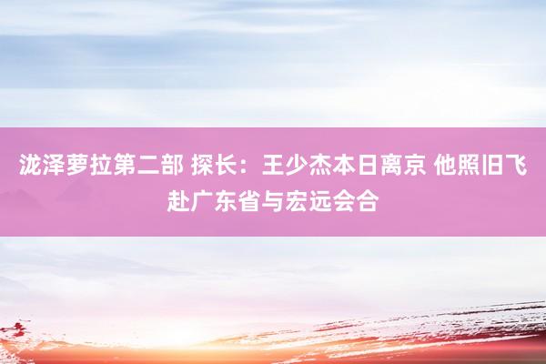 泷泽萝拉第二部 探长：王少杰本日离京 他照旧飞赴广东省与宏远会合