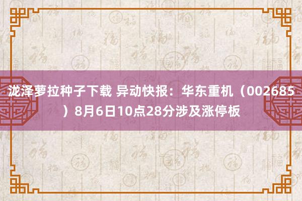 泷泽萝拉种子下载 异动快报：华东重机（002685）8月6日10点28分涉及涨停板