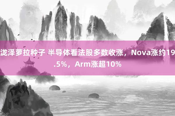 泷泽萝拉种子 半导体看法股多数收涨，Nova涨约19.5%，Arm涨超10%