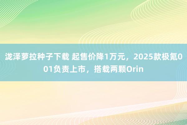 泷泽萝拉种子下载 起售价降1万元，2025款极氪001负责上市，搭载两颗Orin