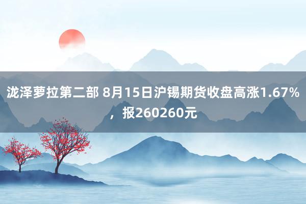 泷泽萝拉第二部 8月15日沪锡期货收盘高涨1.67%，报260260元