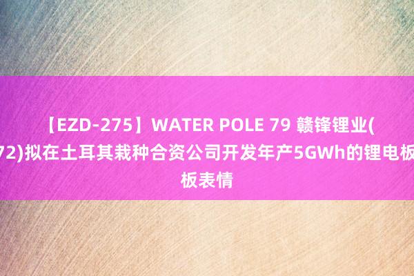 【EZD-275】WATER POLE 79 赣锋锂业(01772)拟在土耳其栽种合资公司开发年产5GWh的锂电板表情