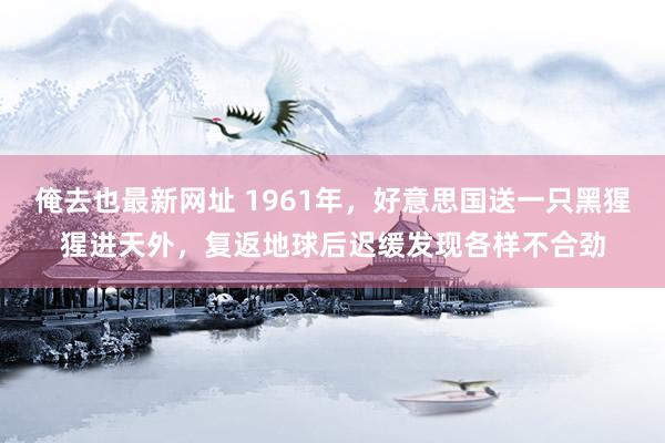 俺去也最新网址 1961年，好意思国送一只黑猩猩进天外，复返地球后迟缓发现各样不合劲