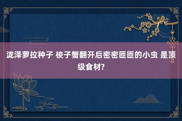 泷泽萝拉种子 梭子蟹翻开后密密匝匝的小虫 是顶级食材?