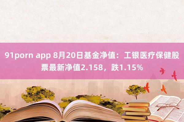 91porn app 8月20日基金净值：工银医疗保健股票最新净值2.158，跌1.15%