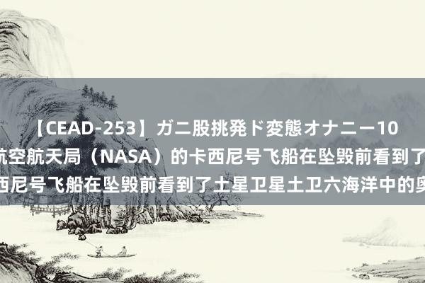 【CEAD-253】ガニ股挑発ド変態オナニー100人8時間 好意思国国度航空航天局（NASA）的卡西尼号飞船在坠毁前看到了土星卫星土卫六海洋中的奥妙