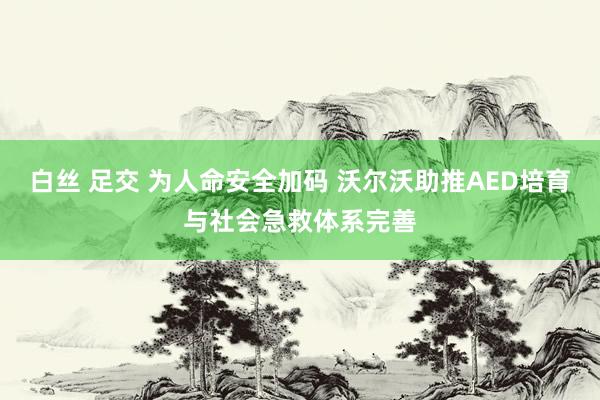 白丝 足交 为人命安全加码 沃尔沃助推AED培育与社会急救体系完善