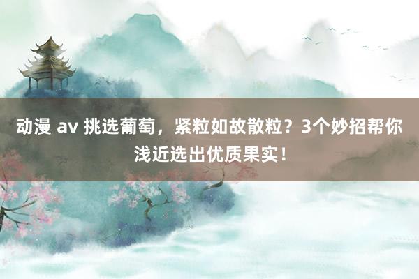 动漫 av 挑选葡萄，紧粒如故散粒？3个妙招帮你浅近选出优质果实！