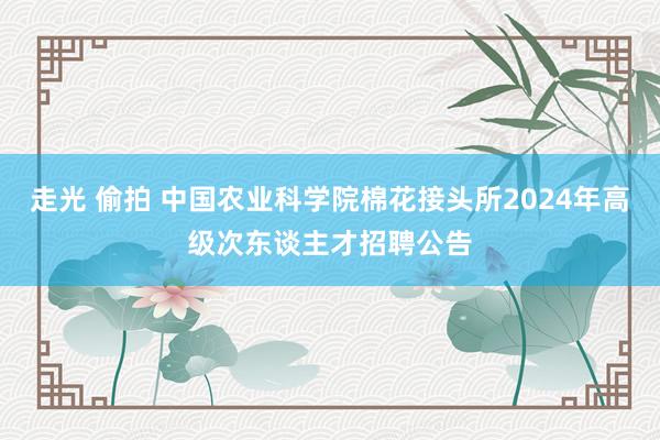 走光 偷拍 中国农业科学院棉花接头所2024年高级次东谈主才招聘公告